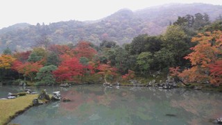 IMG00184.jpg